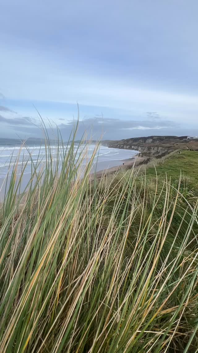Do you know where this is?👇

This stunning view is from Royal Portrush Golf Course, overlooking the Whiterocks Beach in Portrush🌊

✨Did you know you can stay in The Rosses or Featherbed accommodation and play this famous golf course!⛳️✨ Send us a message if you would like more info📲

#stayhere #royalportrushgolfclub #viewsni #stayandgolf #luxuryaccommodationni